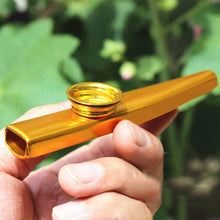 Last inn bildet i Galleri-visningsprogrammet, Metal Kazoo Lightweight Portable For Beginner Flute Instrument Music Lovers Woodwind Instrument Simple Design Lightweight
